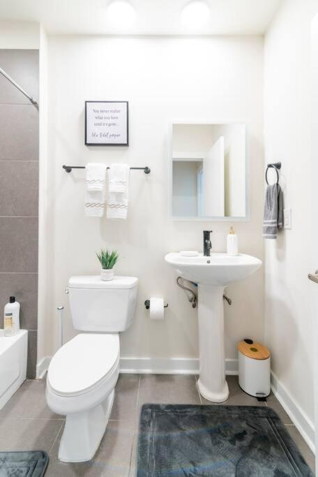 Apartment Charming Cozy With Wi-fi & Free Parking Charlotte